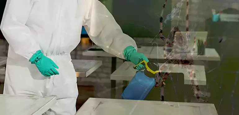 Why Buyers Still Want Homes With Pest Infestations in Tempe, AZ?