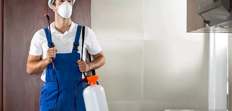 Why Tempe Homeowners Choose Us When Pests Make Selling Difficult