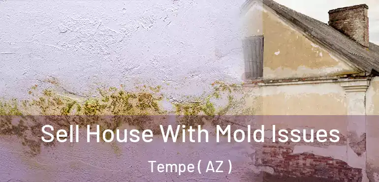  Sell House With Mold Issues Tempe ( AZ )